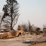 Firefighters Rush to Management Texas Wildfire Forward of Heat Climate